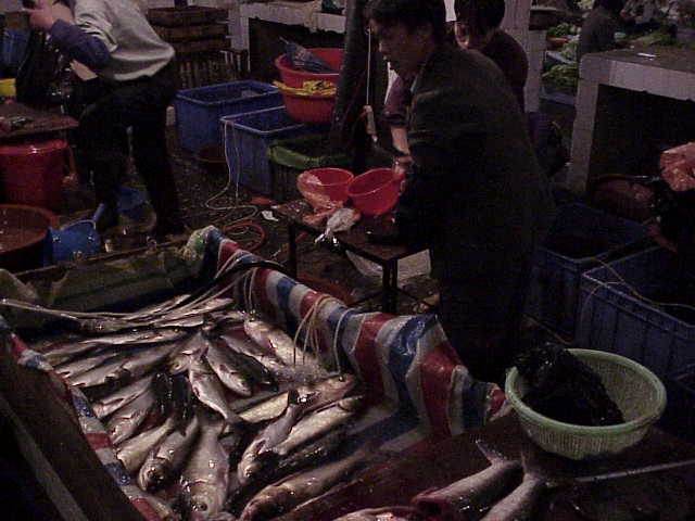    Selling fish      Market  Guilin